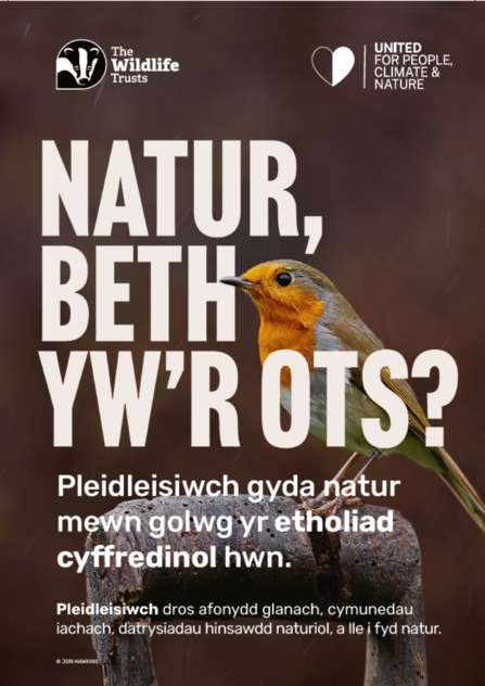 Nature, who cares? Robin poster - Welsh