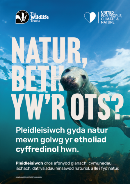 Nature, who cares? Seal poster - Welsh