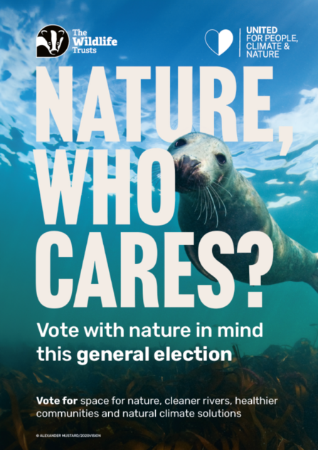 Nature, who cares? Seal poster