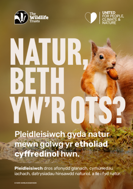 Nature, who cares? Squirrel poster - Welsh