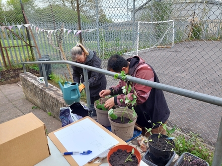 Volunteers plant seedlings with an outdoor playing area behind them.