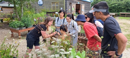Group of people gather around a raised bed with plants and herbs.