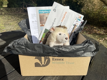 Essex Wildlife Trust's Hedgehog Adoption Gift Box, containing a cuddly hedgehog toy at the front, a plantable pen just behind it, a thank you letter, fact sheet and certificate