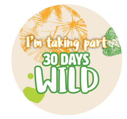 A shareable badge for social media that reads 'I'm taking part in 30 Days Wild'