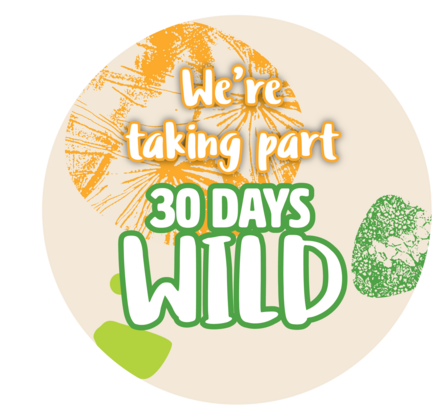 A shareable badge for social media that reads 'We're taking part in 30 Days Wild'