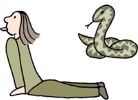 An illustration of a person and an adder. The person is lying on the floor and doing an upward dog yoga position, with their tongue out - imitating the snake