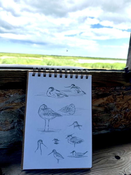 A sketchbook in a bird hide, featuring sketches of wetland birds including avocet and lapwing