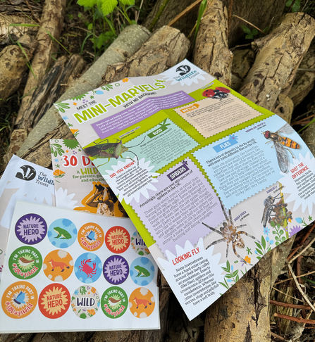 A 30 Days Wild kids' pack picked outside on a log pile. Shown is a fact sheet on insects, herb seeds and biodegradable stickers