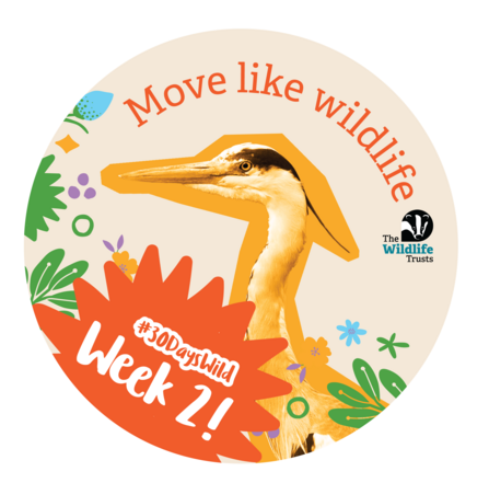 Move like wildlife Week 2! #30DaysWild A photo of a heron coloured in yellow