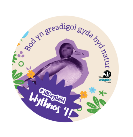 30 Days Wild Week Four Badge Bod yn greadigol gyda byd nature