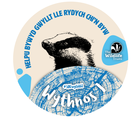 A black and white sketch of a badger next to the wildlife trusts logo