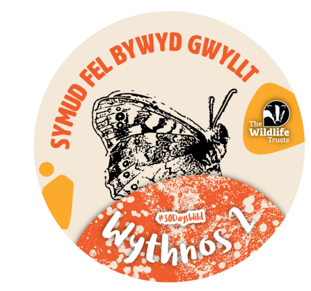 Symud fel bywyd gwyllt Wythnos 2 #30Days Wild