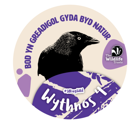 30 Days Wild Week Four Badge Bod yn greadigol gyda byd natur