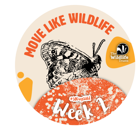 Move like wildlife, Week 2 #30DaysWild badge showing a black and white outline drawing of a butterfly