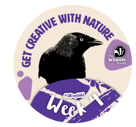 30 Days Wild Week Four Badge Adults English
