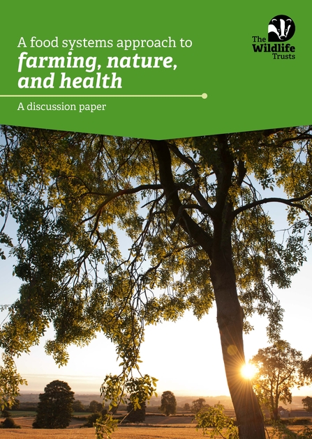 A tree towering over a field. Text reads A food systems approach to farming, nature and health. A discussion paper.