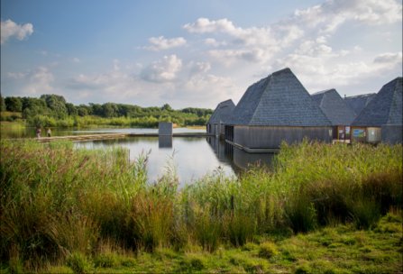 Brockholes