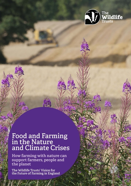 The Wildlife Trusts' Vision for the Future of Farming in England front cover