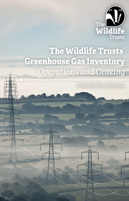 Power lines across fields lined with hedges and trees. Text reads The Wildlife Trusts' Greenhouse Gas Inventory: Operations and Grazing. Financial year 2023-24