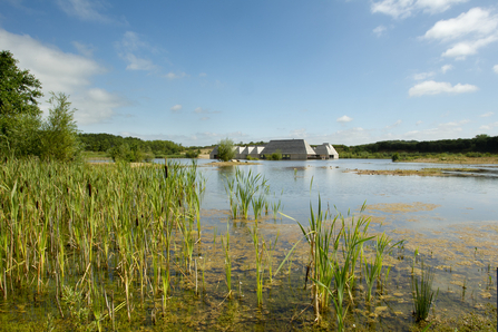 A wetland with a low building in the background