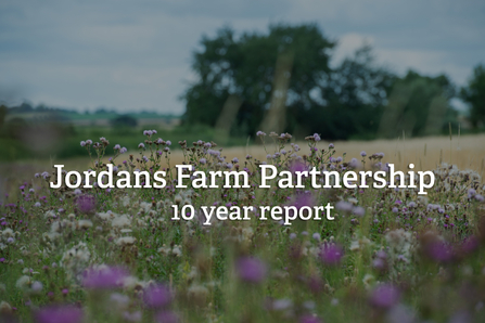 A farmed field with trees in the background and wildflowers in the foreground. Text reads Jordans Farm Partnership 10 year report