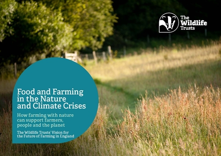 The front cover of The Wildlife Trusts' Farming Vision report. A grassy field with trees in the background. The title reads Food and Farming in the Nature and Climate Crises: How farming with nature can support farmers, people and the planet. The Wildlife Trusts' Vision for the Future of Farming in England