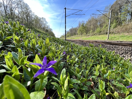 Railway 2
