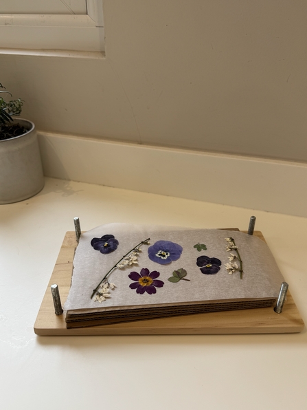 Flowers and stems sitting on brown parchment paper in the middle of a flower press
