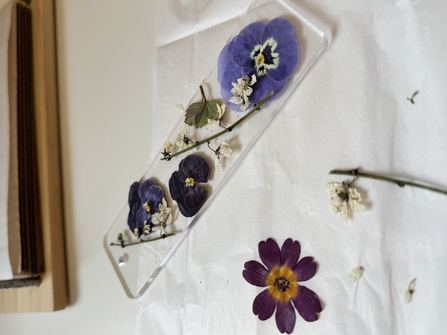 A transparent acrylic bookmark filled with pressed flowers and stems. Next to the bookmark are other dried flowers and stems