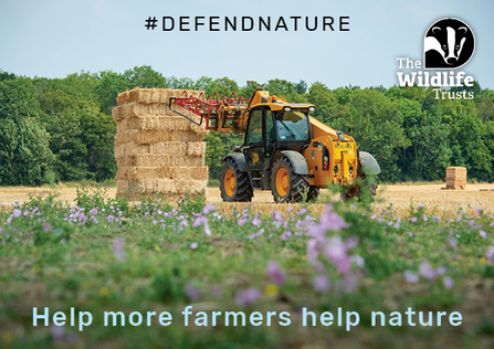A tractor on farmland moving bales of hay. Text reads Help more farmers help nature
