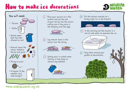 A step-by-step guide to making ice decorations using natural items like leaves and feathers