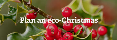 A holly branch with bright red berries. Text reads Plan an eco Christmas