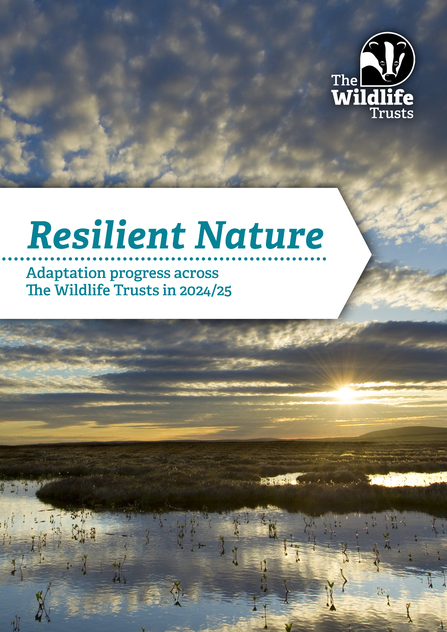 Front cover of the Resilient Nature report. Adaptation progress across The Wildlife Trusts in 2024/25