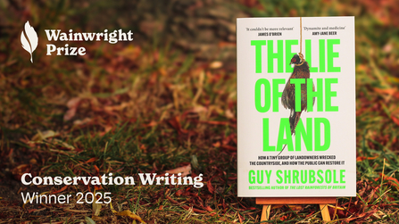Front cover of The Lie of the Land by Guy Shrubsole 