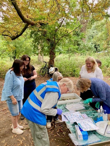 four people outside in woods examining paperwork on a table