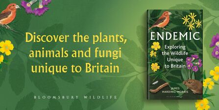 Endemic book promo tile that reads "discover the plants, animals and fungi unique to britain"