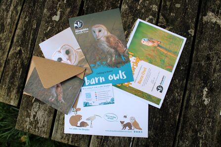 Adoption paperwork barn own Shropshire