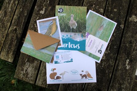 Paperwork with curlews
