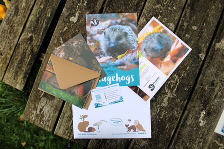 Adoption paperwork hedgehogs