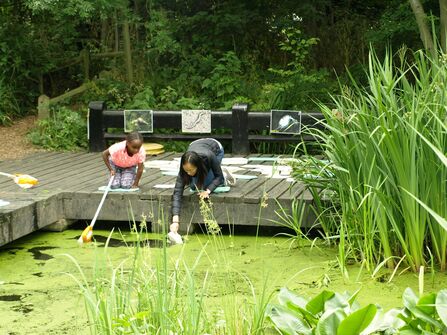 Two people on a platform pond dipping