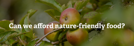 A close up of red applies on a branch. Text reads Can we afford nature-friendly food?