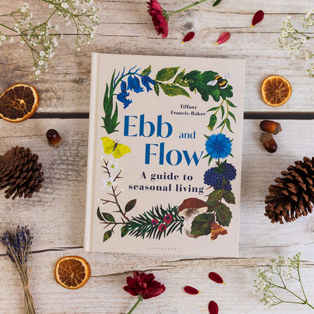 The book Ebb and Flow by Tiffancy Francis Baker on a table surrounded by dried fruit and foliage