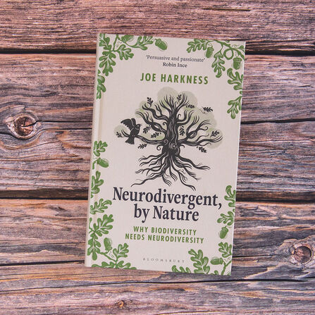 Neurodivergent by Nature by Joe Harness on a wooden table
