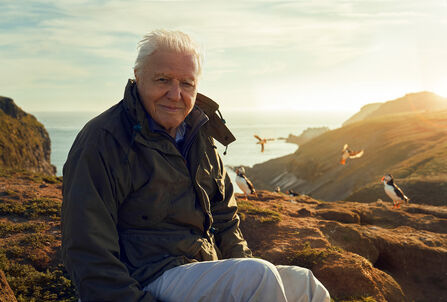 Sir David Attenborough sat on the top of Skomer Island cliffs, with the sea behind him, looking at the camera. behind him puffins are flying around and perched on the cliff top