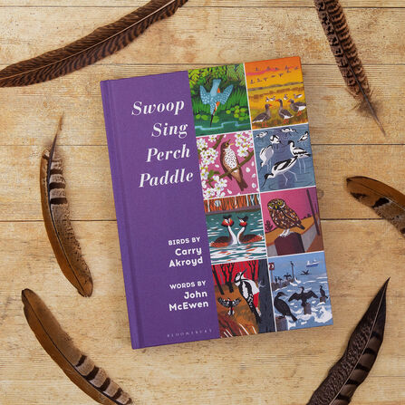 The book Swoop Sing Perch Paddle by Carry Akyoyd surrounded by feathers