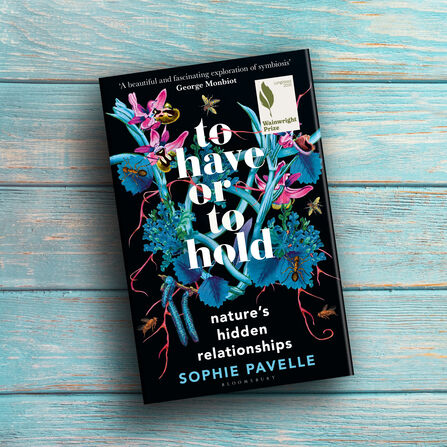To Have or To Hold by Sophie Pavelle 