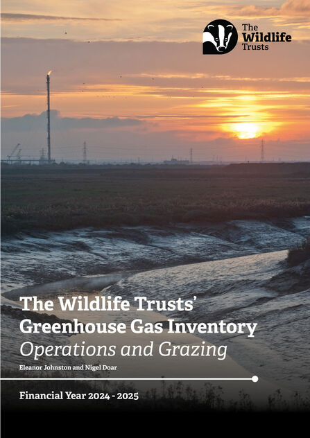 Front cover of The Wildlife Trusts' Greenhouse Gas Inventory Operations and Grazing: Financial Year 2024-25