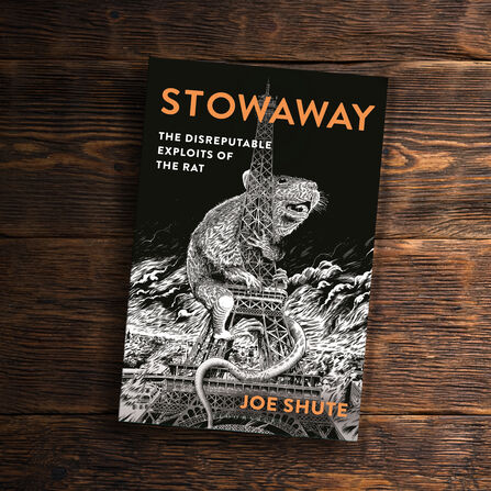 Stowaway by Joe Shute on a wooden table