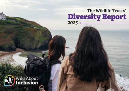 Two women stood facing away from the cmaera on a hillside overlooking the sea. Text reads The Wildlife Trusts' Diversity Report 2025