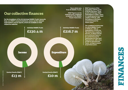 Explanation of the photo is included separately below 